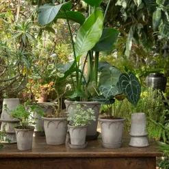 Maceta Elizabeth Ø14 cm, Grey