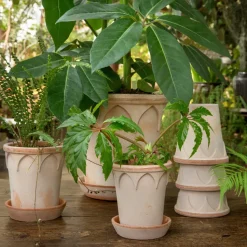 Maceta Elizabeth Ø14 cm, Rose