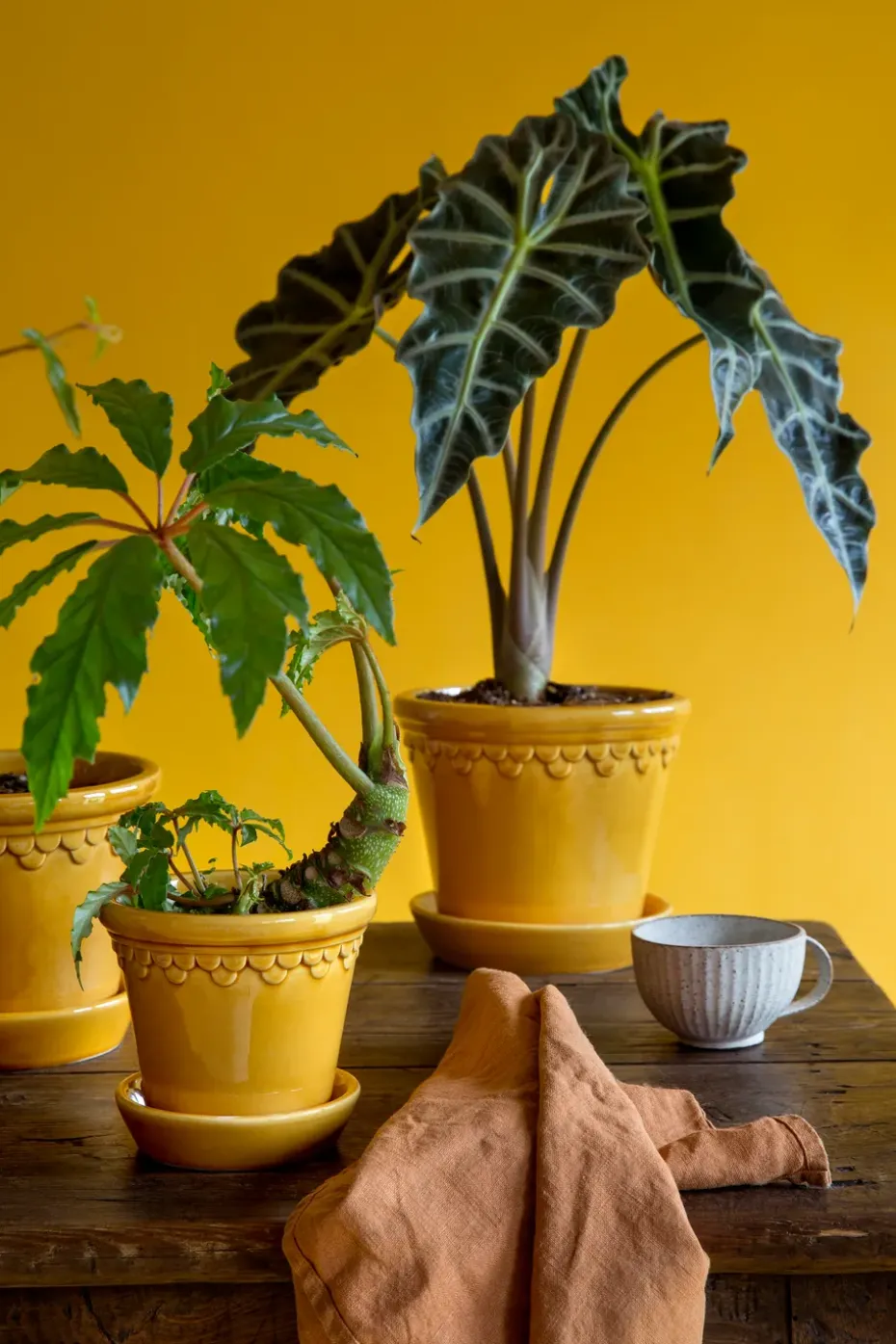 Maceta esmaltada Københavner Ø25 cm, amarillo