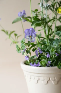 Maceta esmaltada Københavner Ø25 cm, Sand Stone