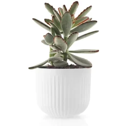 Maceta Eva Trio Legio Nova blanco, Pequeña ø13 cm