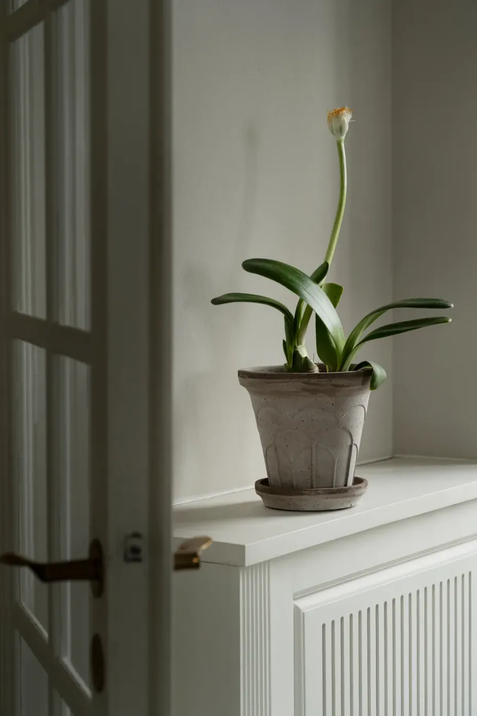 Maceta Fleur con plato, 2 piezas, Gris, Ø18 cm