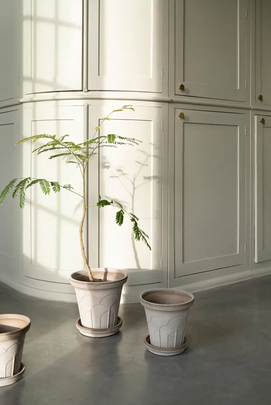 Maceta Fleur con plato, 2 piezas, Gris, Ø18 cm