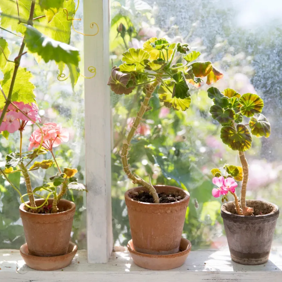 Maceta Helena Ø12 cm, gris