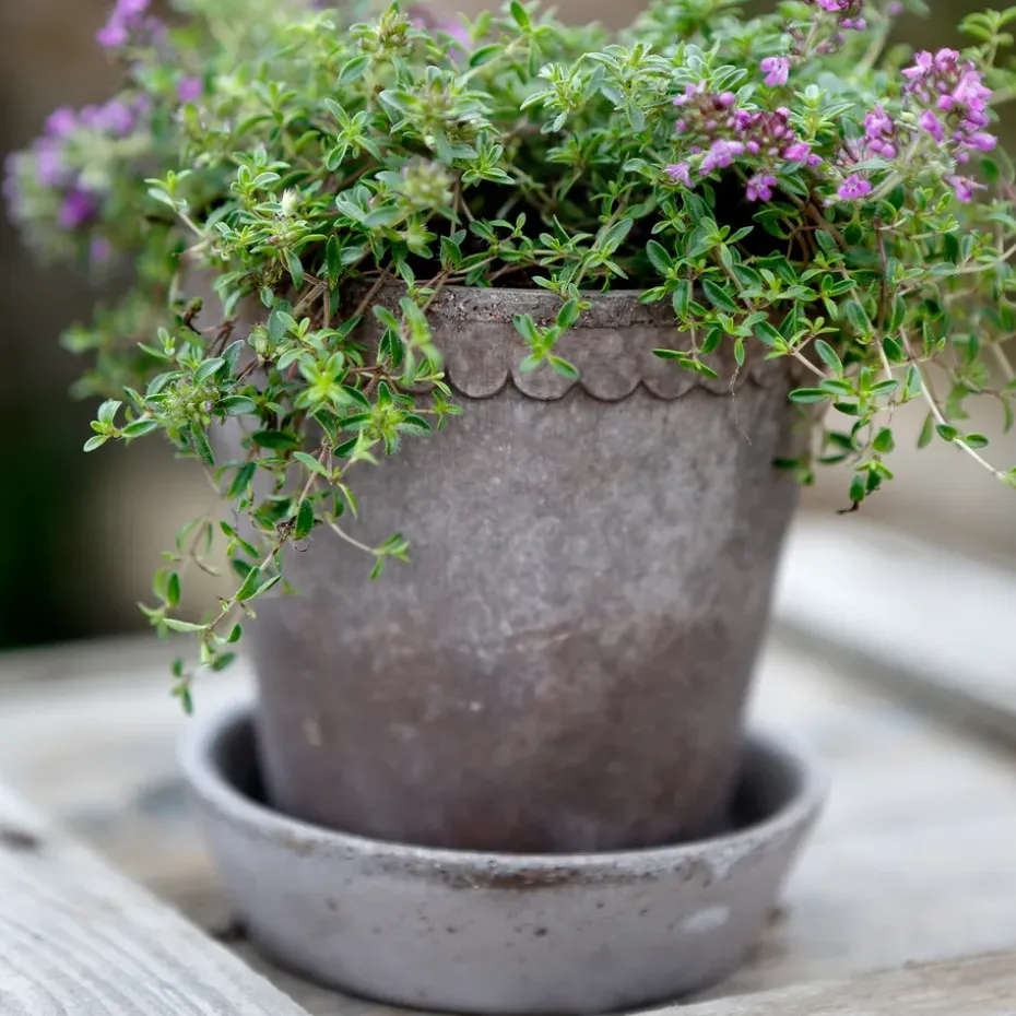 Maceta Helena Ø10 cm, gris