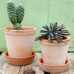 Maceta Helena Ø14 cm, Rosa