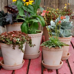 Maceta Helena Ø10 cm, Rosa