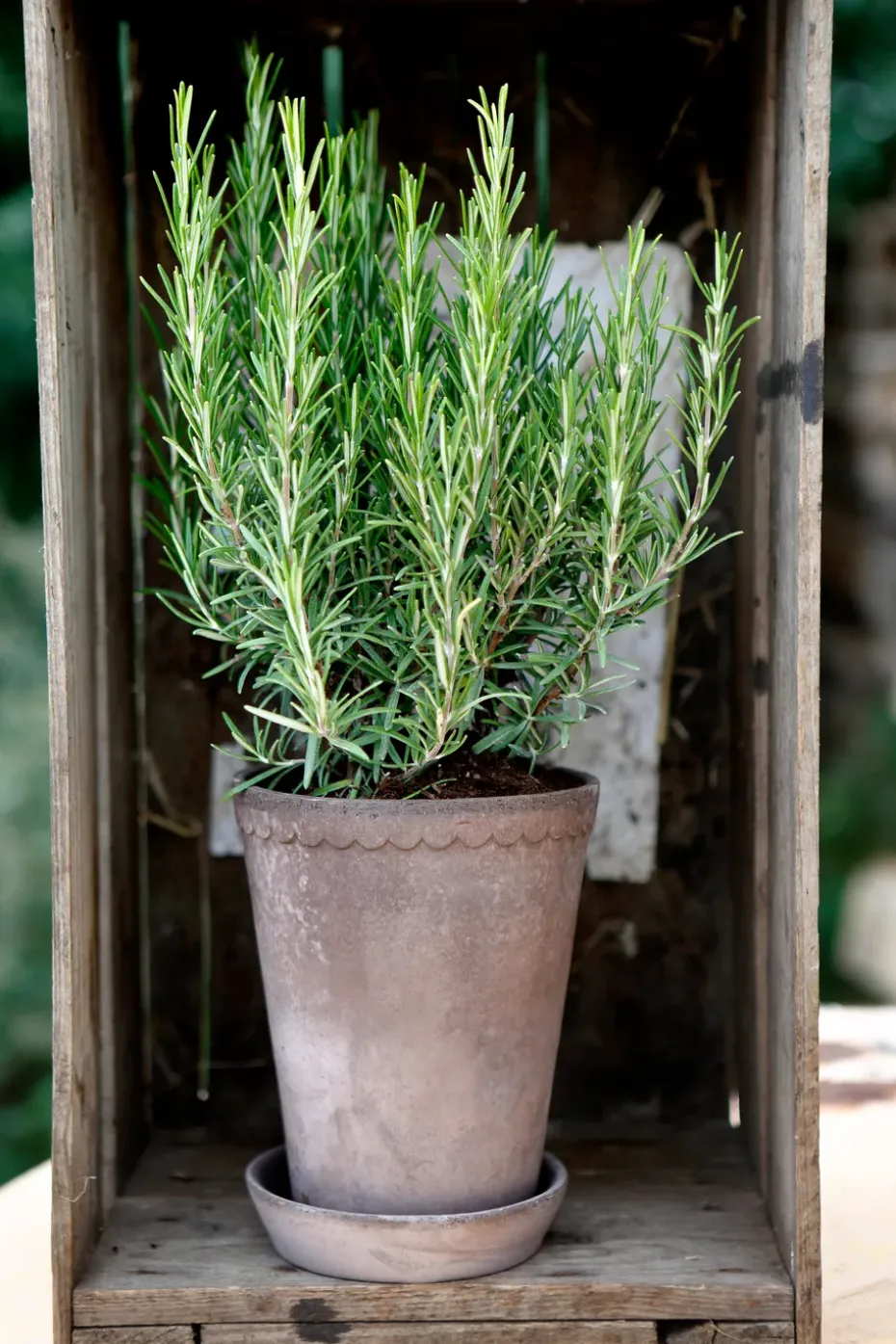 Maceta Helena alta Ø14 cm, gris