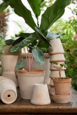 Maceta Helena alta Ø14 cm, Rosa