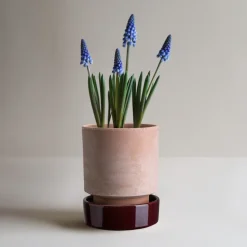 Maceta Hoff, Ø16 cm, Raw Rosa-Deep Burgundy