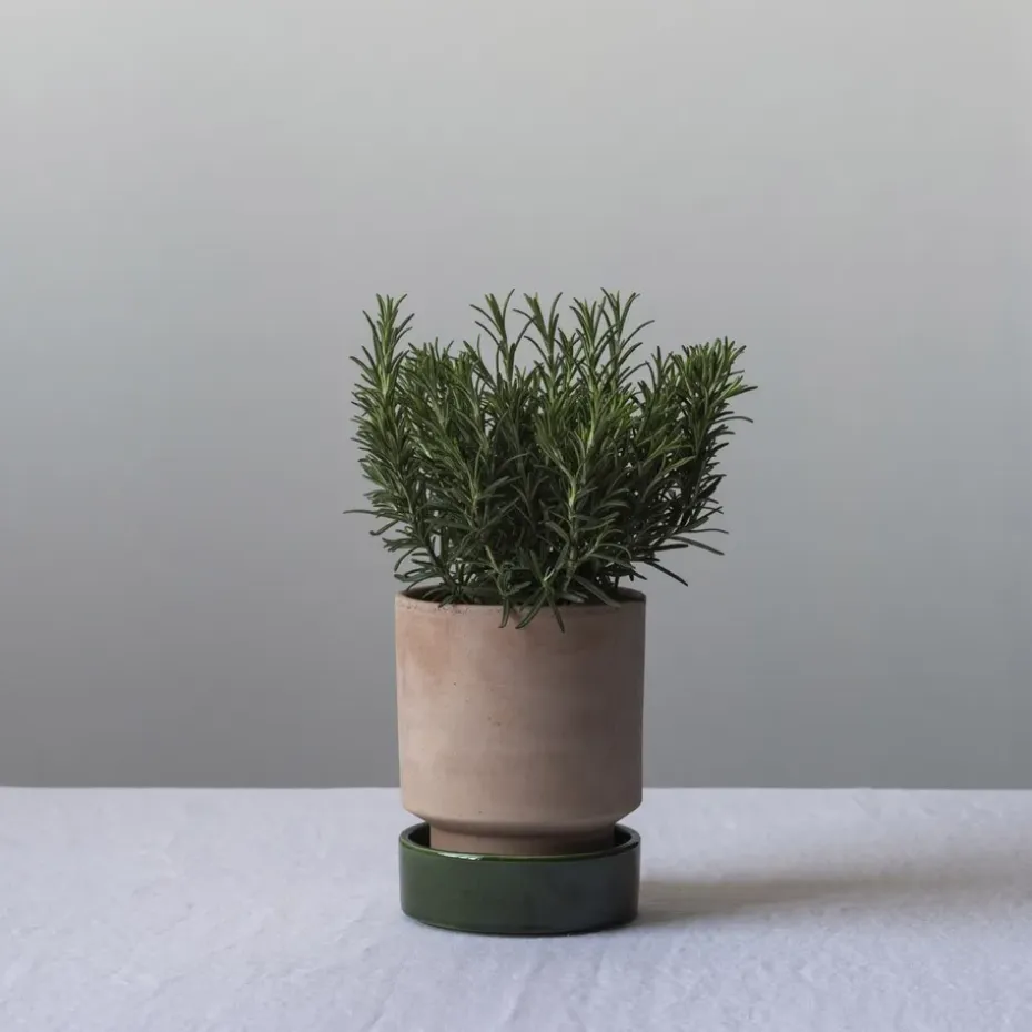 Maceta Hoff, Ø14 cm, Raw Rosa-Emerald Green