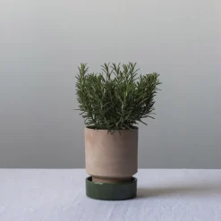 Maceta Hoff, Ø18 cm, Raw Rosa-Emerald Green