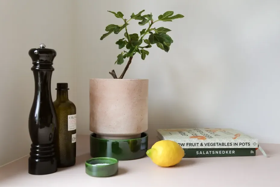 Maceta Hoff, Ø14 cm, Raw Rosa-Misty Blue