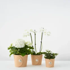 Maceta Hug, Marrón claro, altura h12 cm ø14 cm