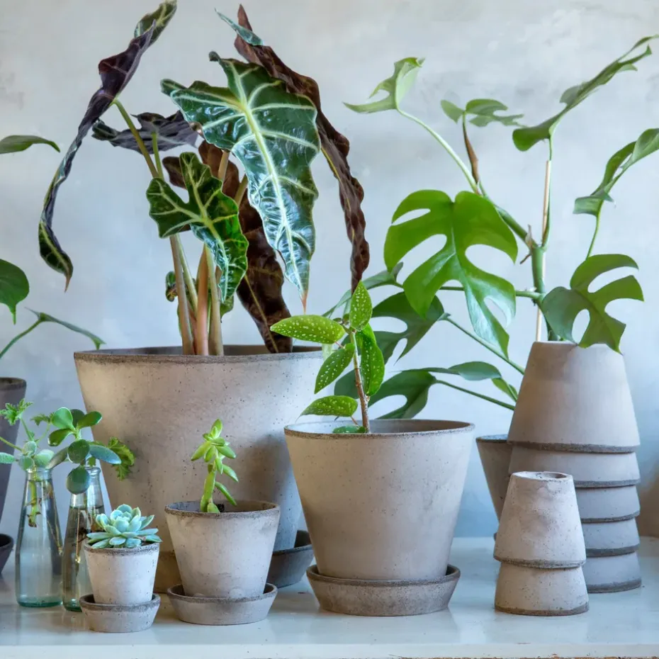 Maceta Julie Ø10 cm, gris