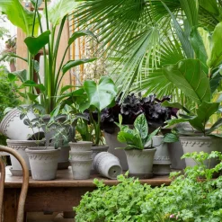 Maceta Københavner Ø25 cm, gris