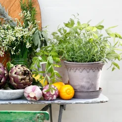 Maceta Københavner Ø16 cm, gris