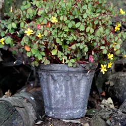 Maceta Københavner Ø16 cm, gris