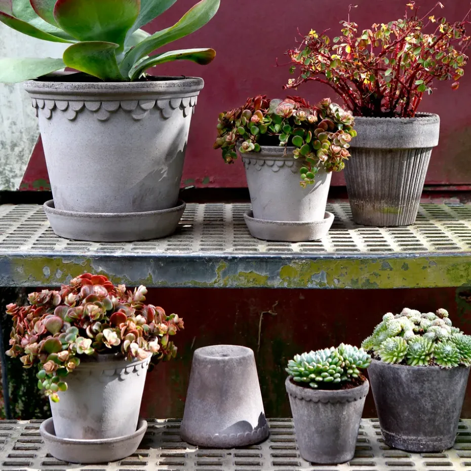 Maceta Københavner Ø10 cm, gris