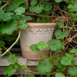 Maceta Københavner Ø16 cm, Rosa