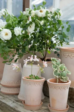 Maceta Københavner alta Ø10 cm, Rosa