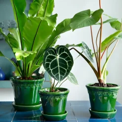 Maceta Københavner esmaltada Ø18 cm, verde