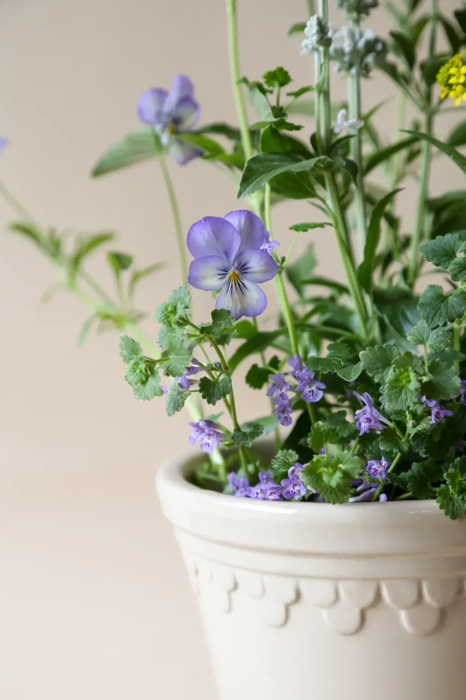 Maceta Københavner esmaltada Ø18 cm, Sand Stone