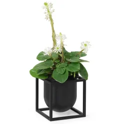 Maceta Kubus 10 cm, negro