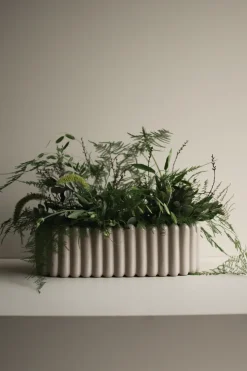 Maceta Mist ovalada, Topo brillante