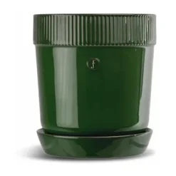 Maceta para especias Elise Ø11 cm, Verde