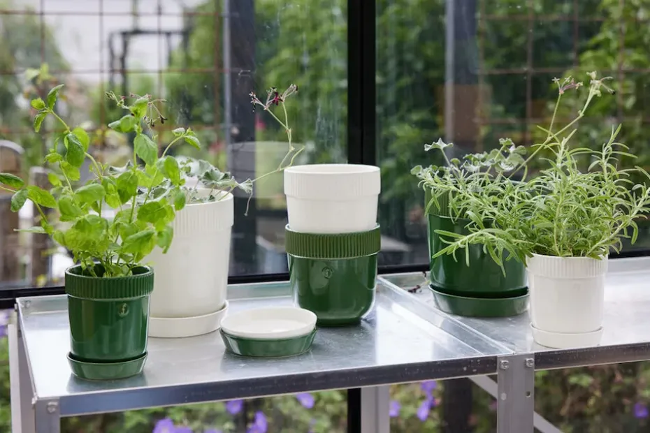 Maceta para especias Elise Ø11 cm, Verde