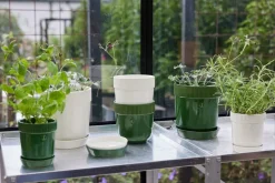 Maceta para especias Elise Ø11 cm, Verde