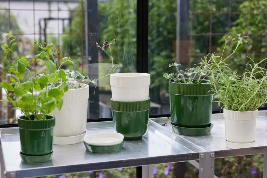 Maceta para especias Elise Ø11 cm, Verde