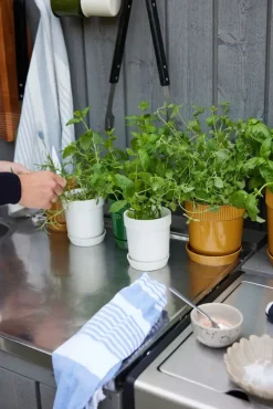 Maceta para especias Elise Ø11 cm, Blanco