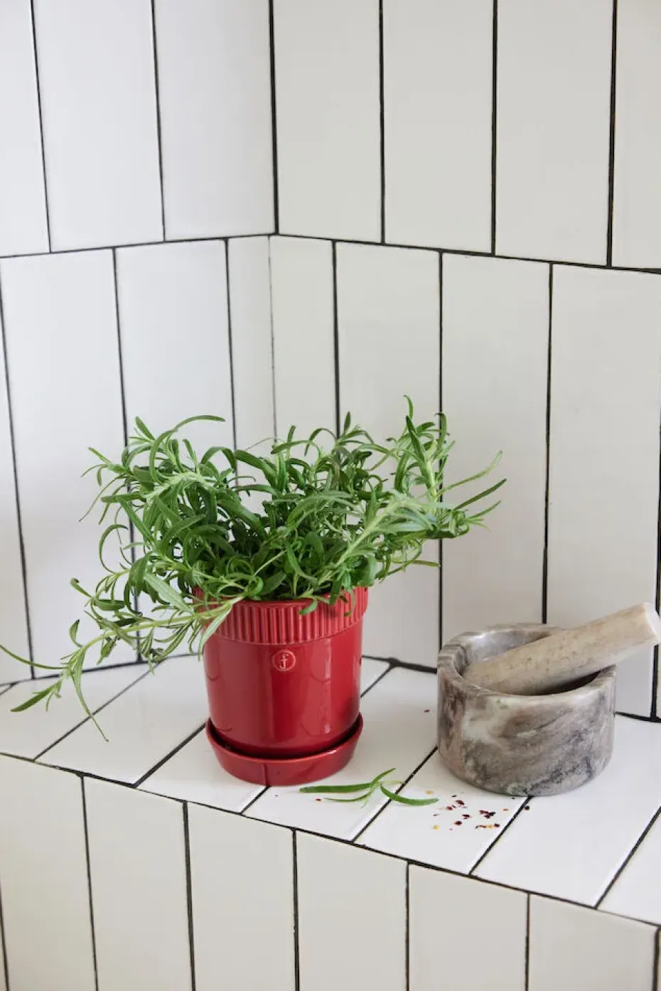 Maceta para especias Elise Ø11 cm, Burdeos