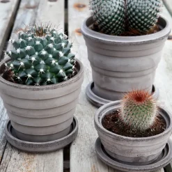 Maceta Planet Saturn Ø16 cm, gris