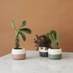 Maceta Plant-It Ø8.5cm, rosa