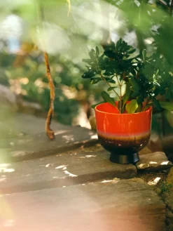 Maceta Retro Ø20,5 cm, Cherry red