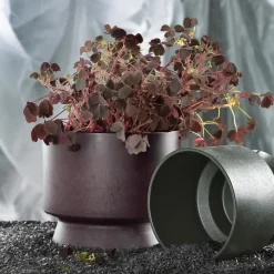 Maceta Ro Ø19 cm, Bordeaux