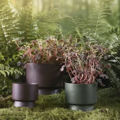 Maceta Ro Ø12 cm, Bordeaux