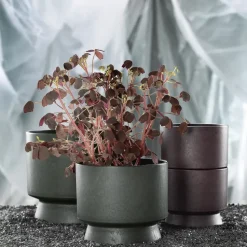 Maceta Ro Ø15 cm, verde oscuro