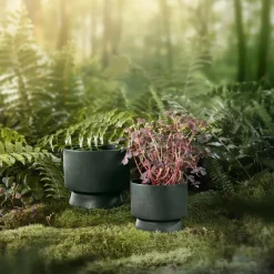 Maceta Ro Ø19 cm, verde oscuro