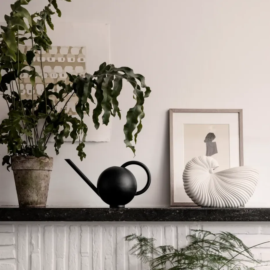 Maceta Shell, Off white