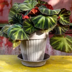 Maceta Simona Ø18 cm, gris