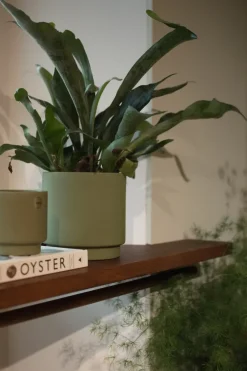 Maceta Solid green, Mediano, Ø16 cm