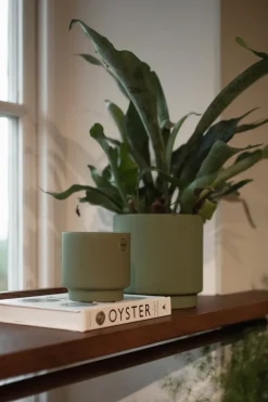 Maceta Solid green, Pequeño, Ø10 cm