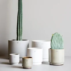 Maceta Solid mole, Pequeña ø10 cm