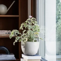 Maceta Speckle Ø30 cm, Off white