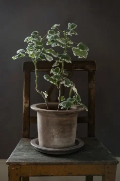 Maceta terracota Ernst con plato, Ø24x17 cm