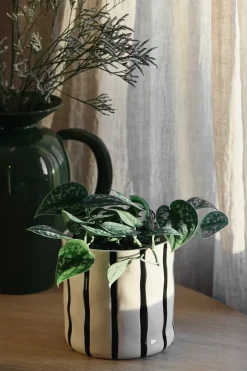 Maceta Thrive Ø16 cm, Blanco-negro